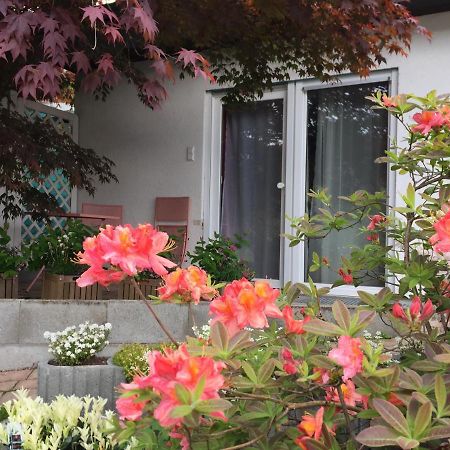 Appartamento Haus Magnolia 2 Kandern Esterno foto