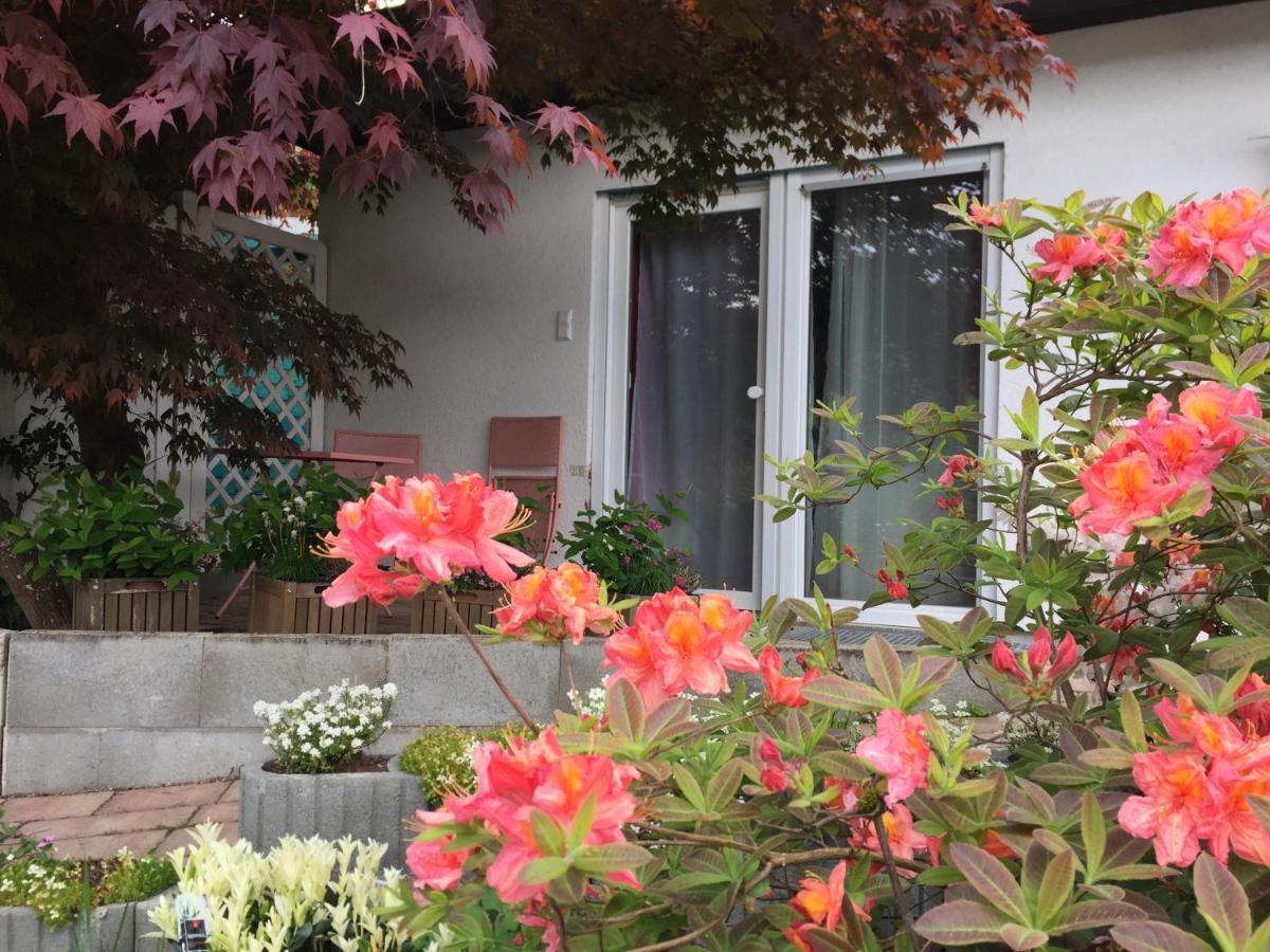 Appartamento Haus Magnolia 2 Kandern Esterno foto